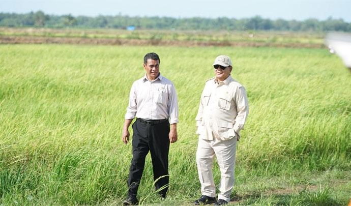 Presiden Prabowo Tinjau Panen Padi pada Merauke