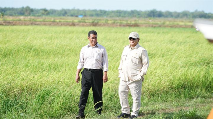 Presiden Prabowo Tinjau Panen Padi pada Merauke